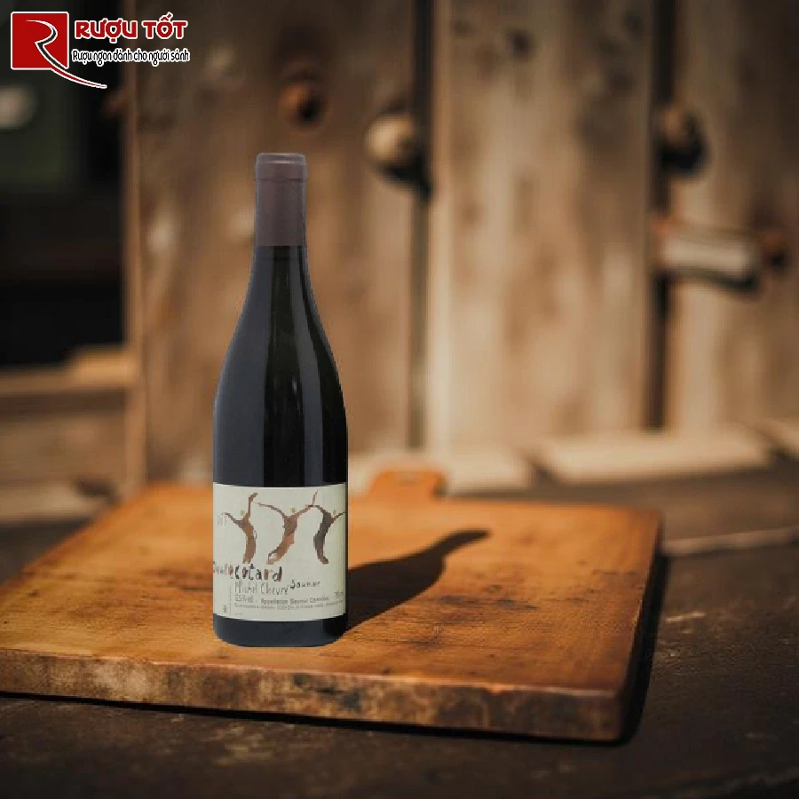 ruou clos de l ecotard saumur thierry germain