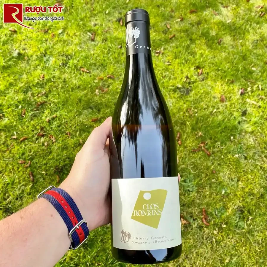 ruou clos romans saumur thierry germain