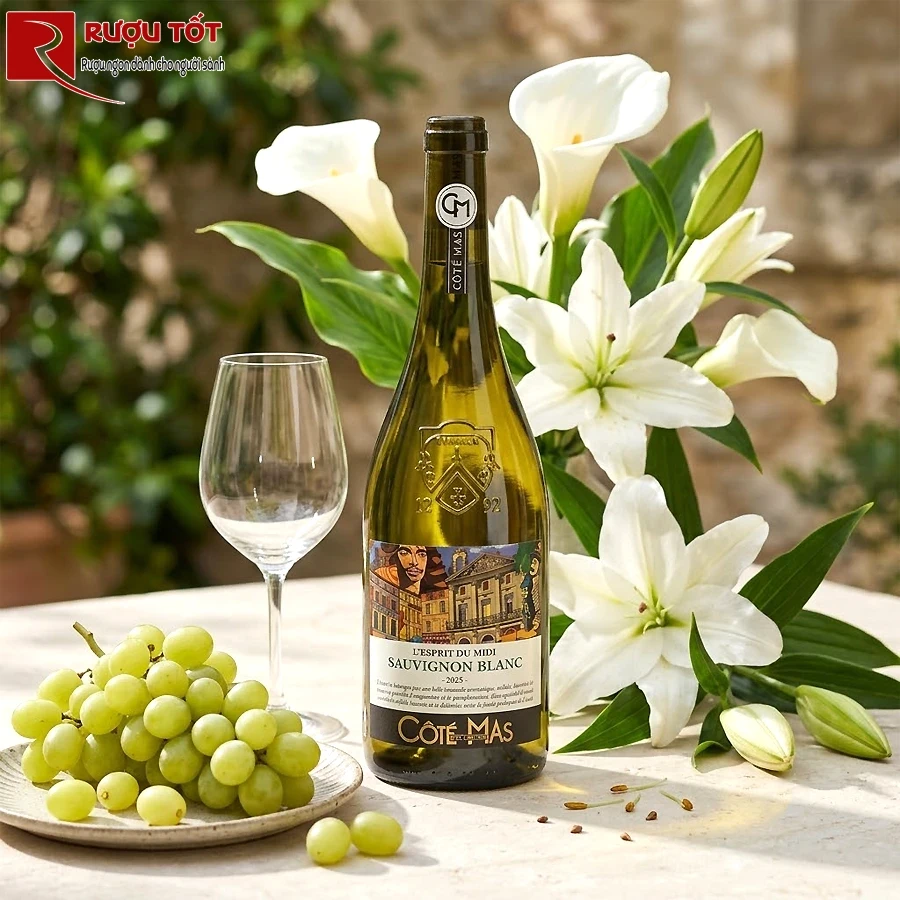 Rượu Cote Mas Art Series Sauvignon Blanc