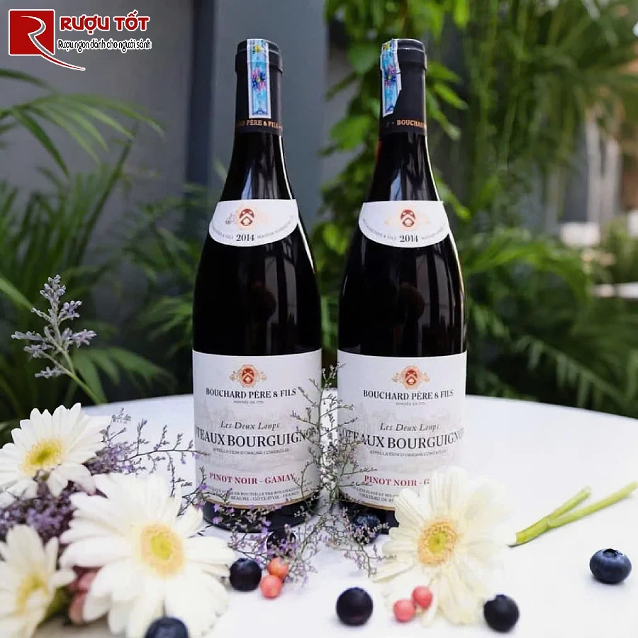 ruou coteaux bourguignons bouchard pere et fils 13% 750ml