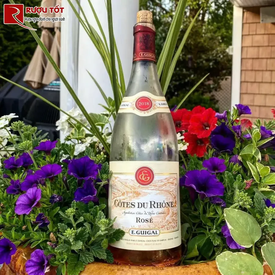 ruou cotes du rhone guigal rose nhap khau phap de uong