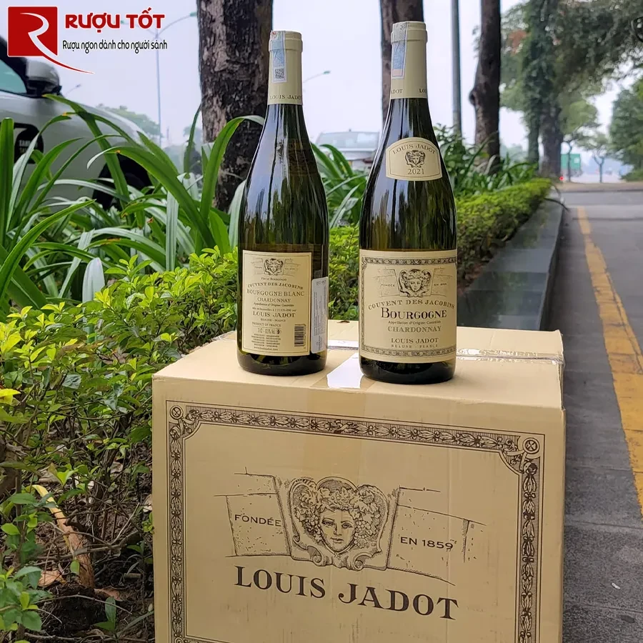 Rượu Couvent des Jacobins Louis Jadot