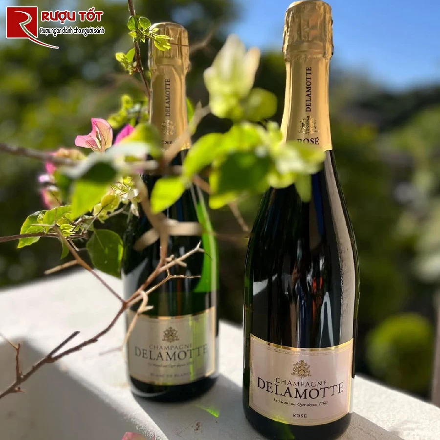 ruou delamotte blanc de blancs