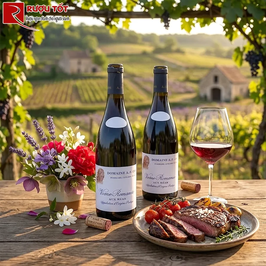 Rượu Domaine AF Gros Vosne Romanee