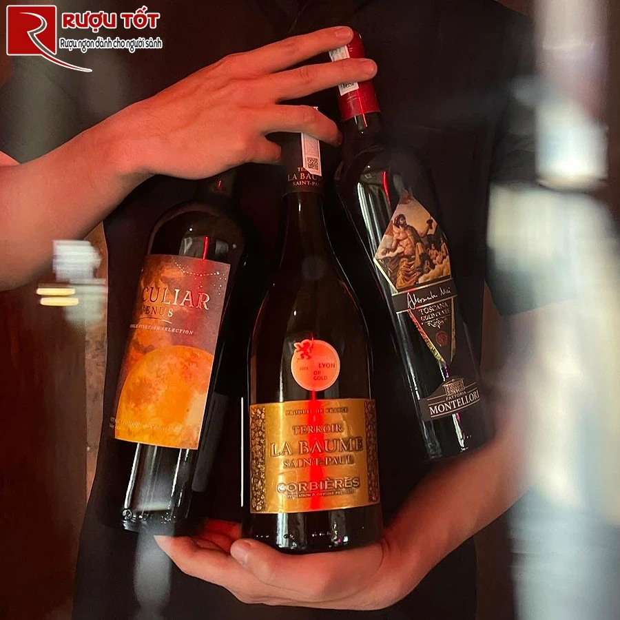 Rượu Domaine de la Baume Corbieres Terroir