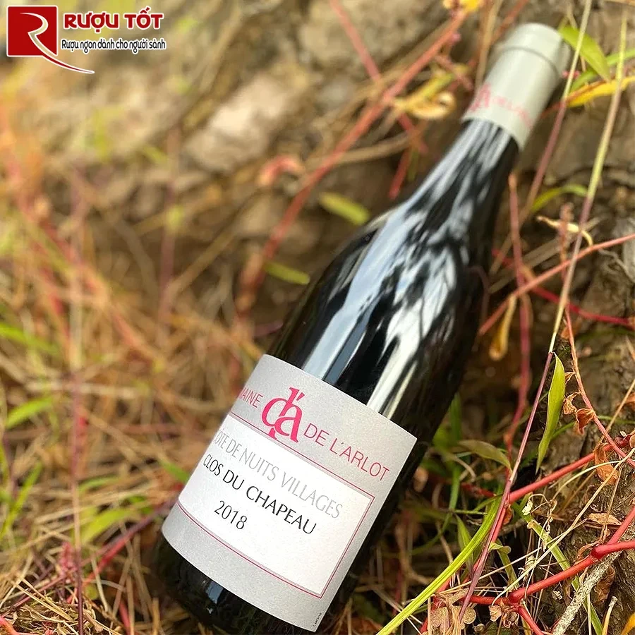 Rượu Domaine de LArlot Cote De Nuits Villages