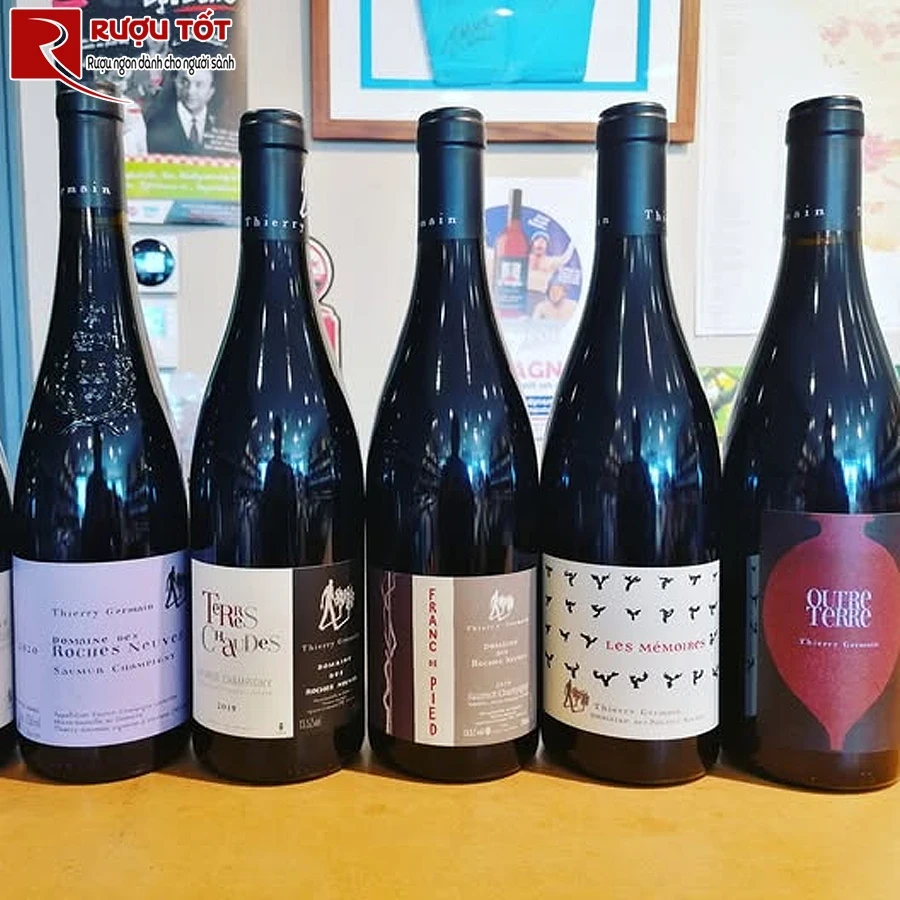 Rượu Domaine des Roches Neuves Les Memoires