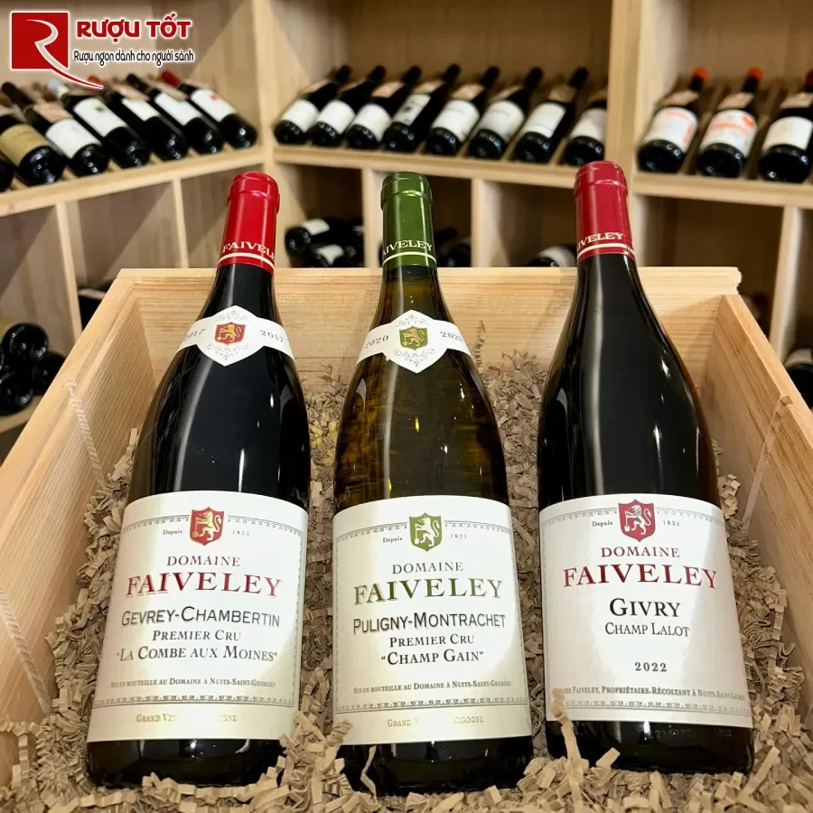 ruou domaine faiveley gevrey-chambertin premier cru la combe aux moines ngon