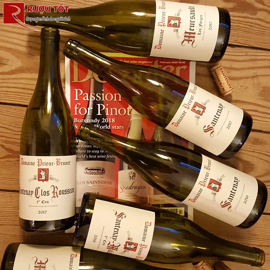 Rượu Domaine Prieur Brunet Santenay