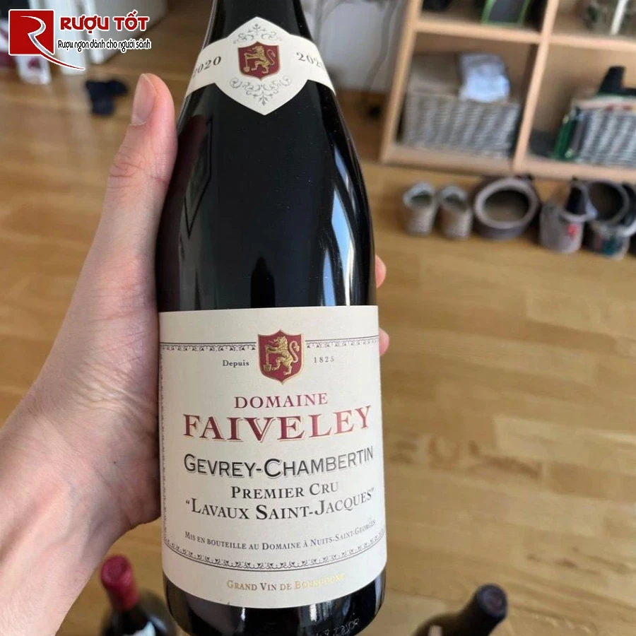 ruou faiveley nuits saint georges premier cru les saint georges hao hang (1)