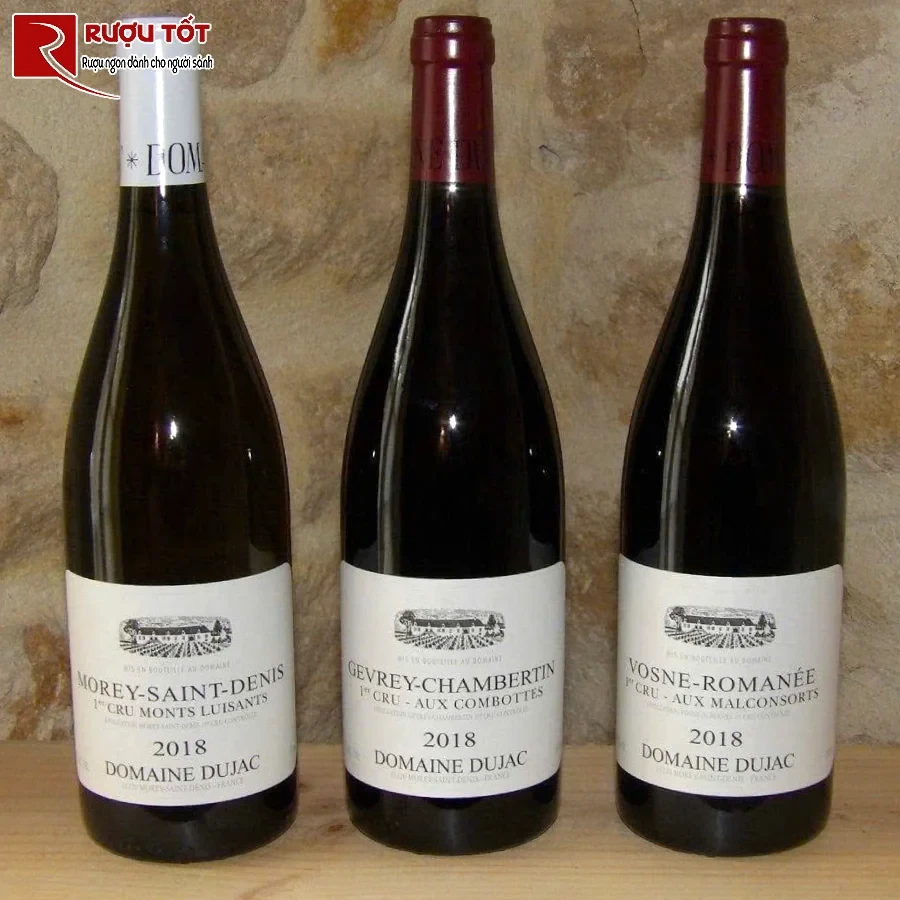 ruou gevrey chambertin 1st cru aux combottes domaine dujac