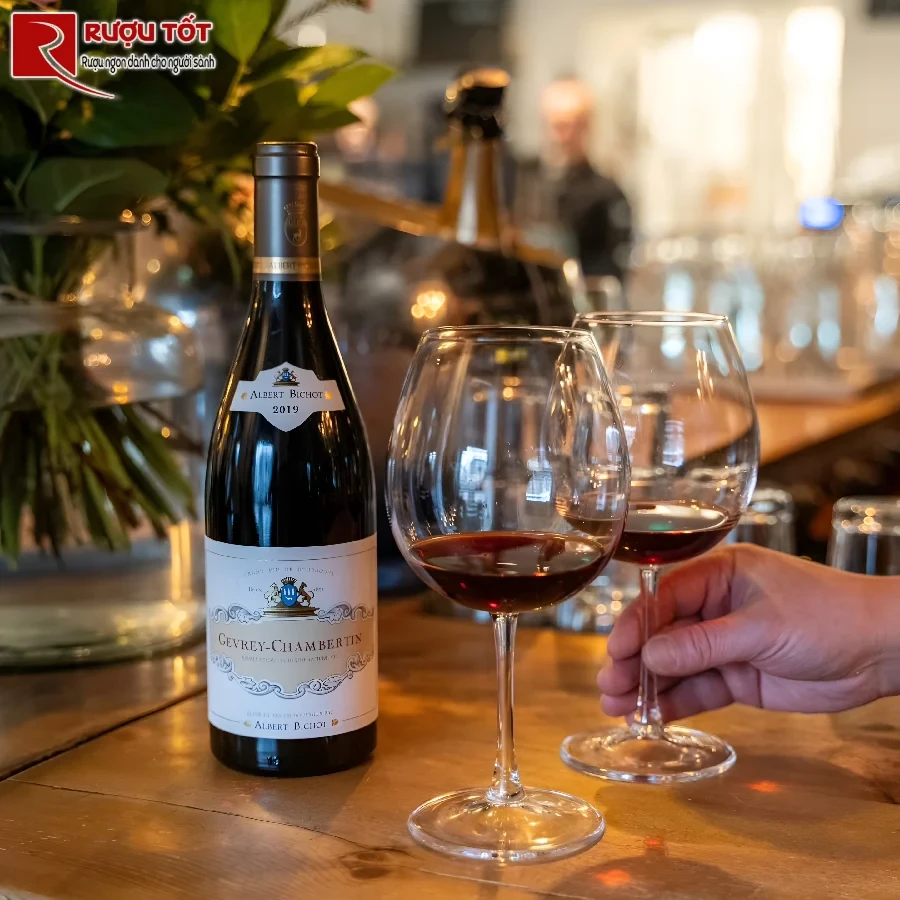 ruou gevrey-chambertin albert bichot