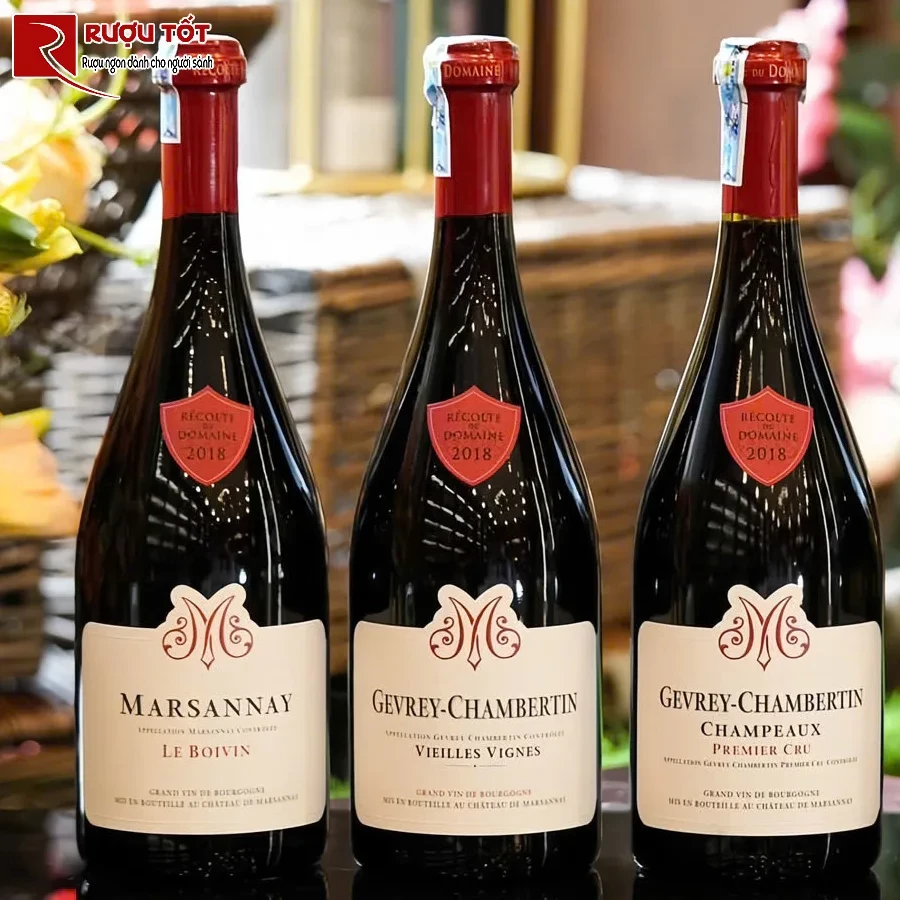 ruou gevrey chambertin bel air premier cru gia tot
