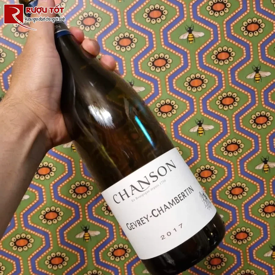 ruou gevrey chambertin chanson cao cap phap