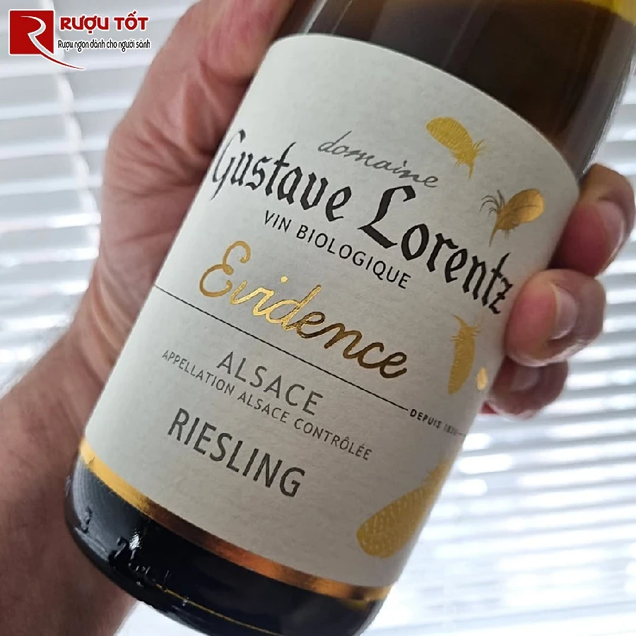 ruou gustave lorentz evidence riesling