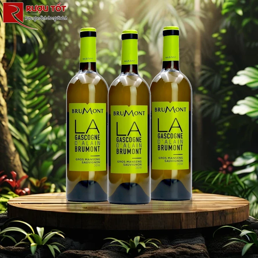 Rượu La Gascogne Cotes de Gascogne Brumont