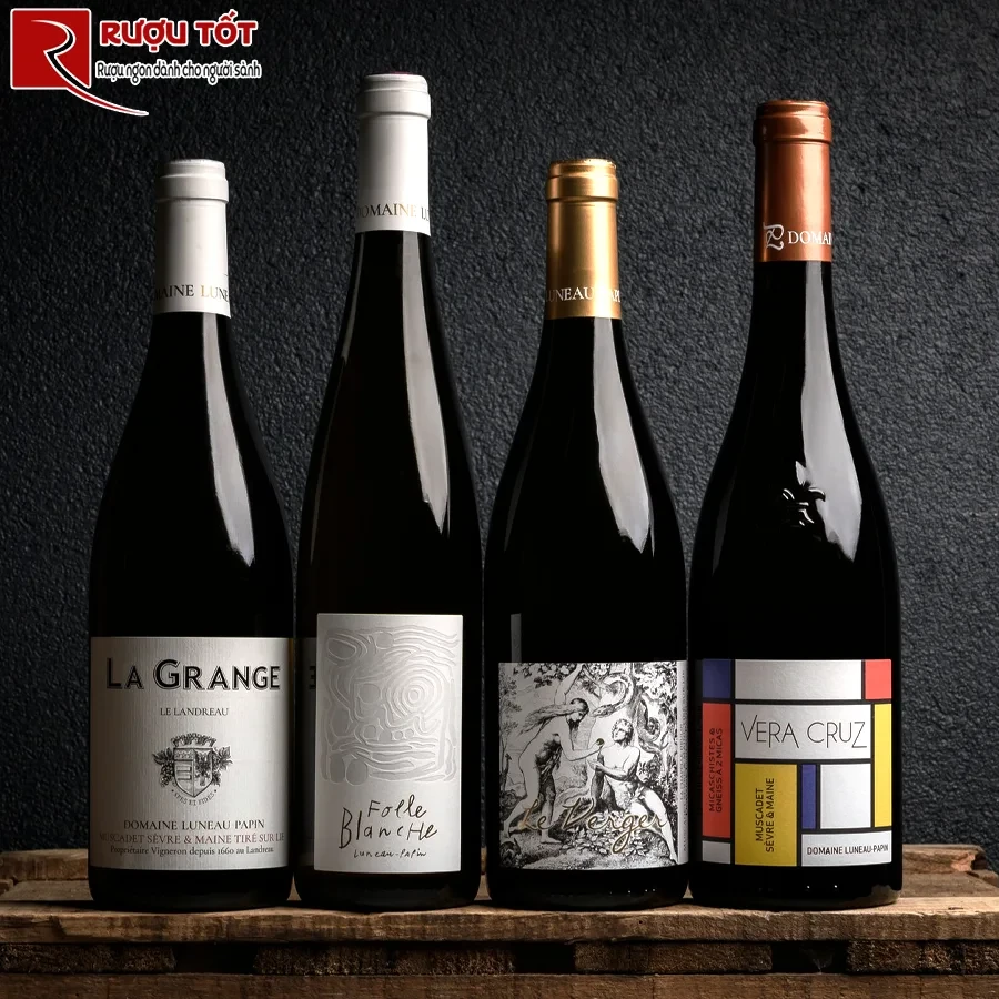 Rượu Le Verger Vieilles Vignes Muscadet