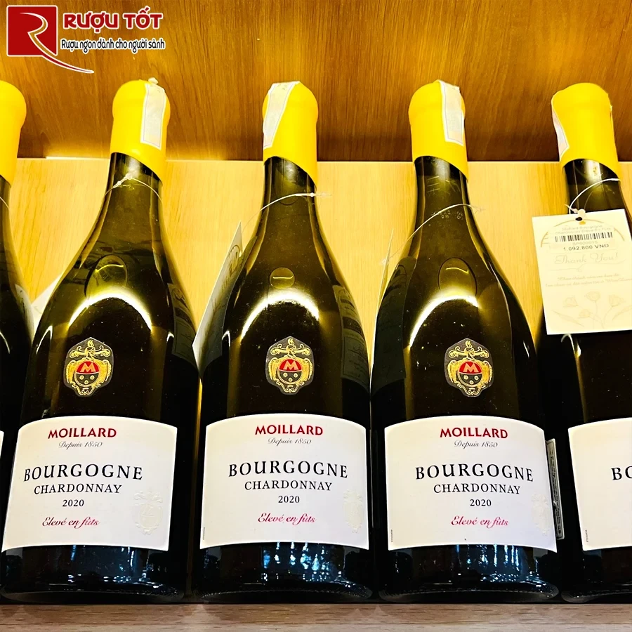 Rượu Moillard Bourgogne Chardonnay Eleve En Futs
