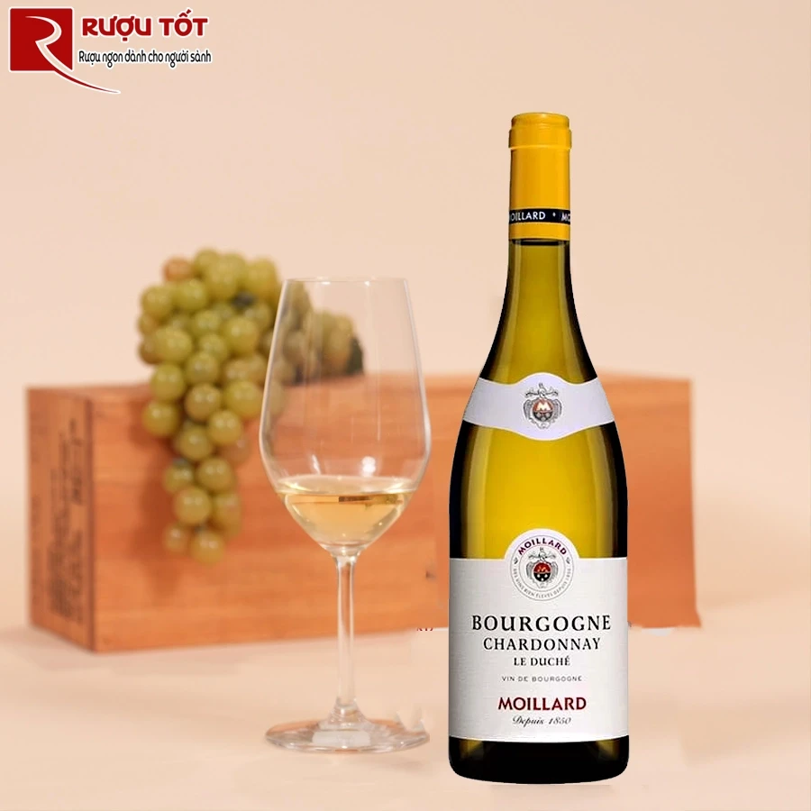 Rượu Moillard Bourgogne Chardonnay-1