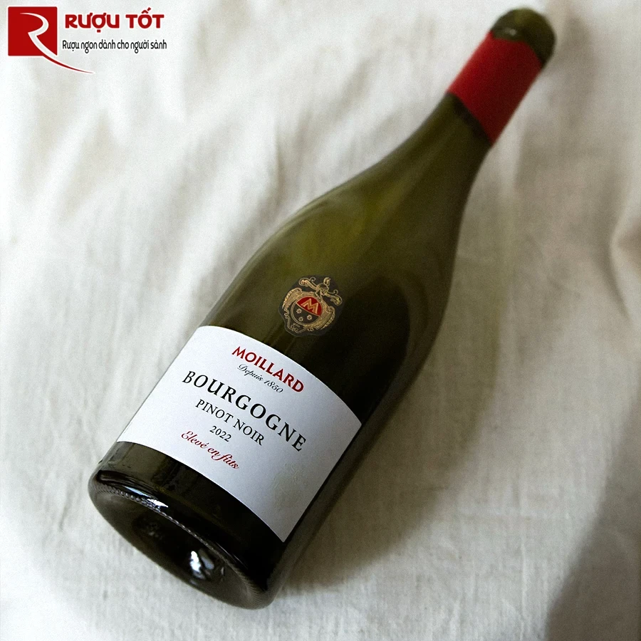 Rượu Moillard Bourgogne Eleve En Futs