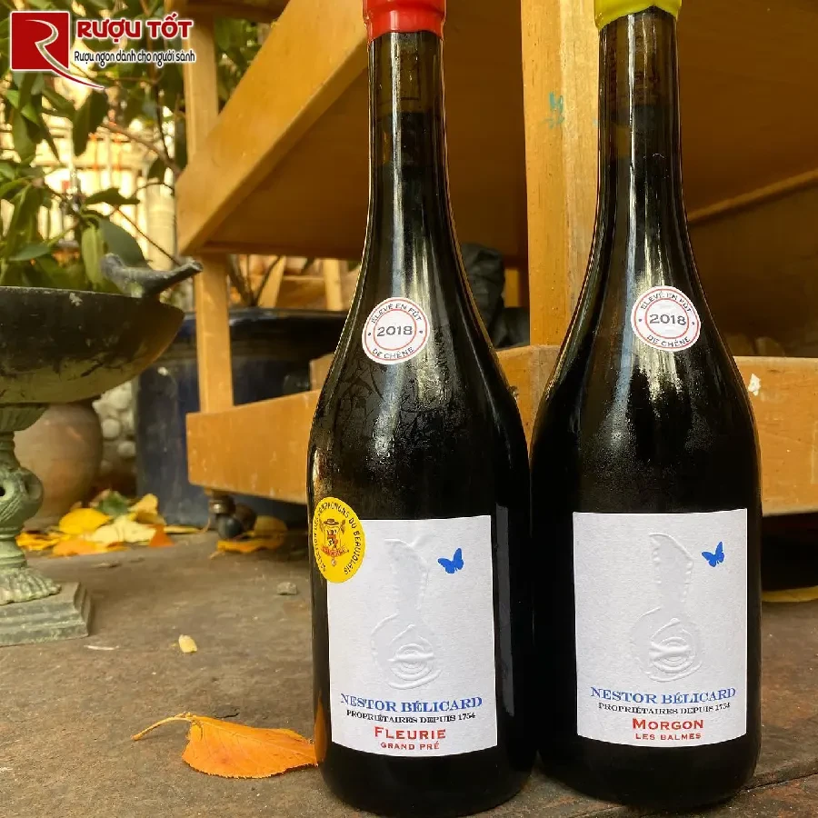 ruou nestor belicard beaujolais villages