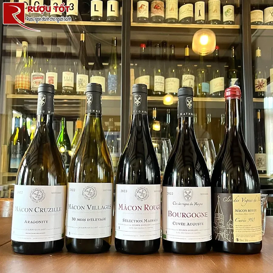 Rượu Pháp Clos des Vignes du Maynes Macon Rouge