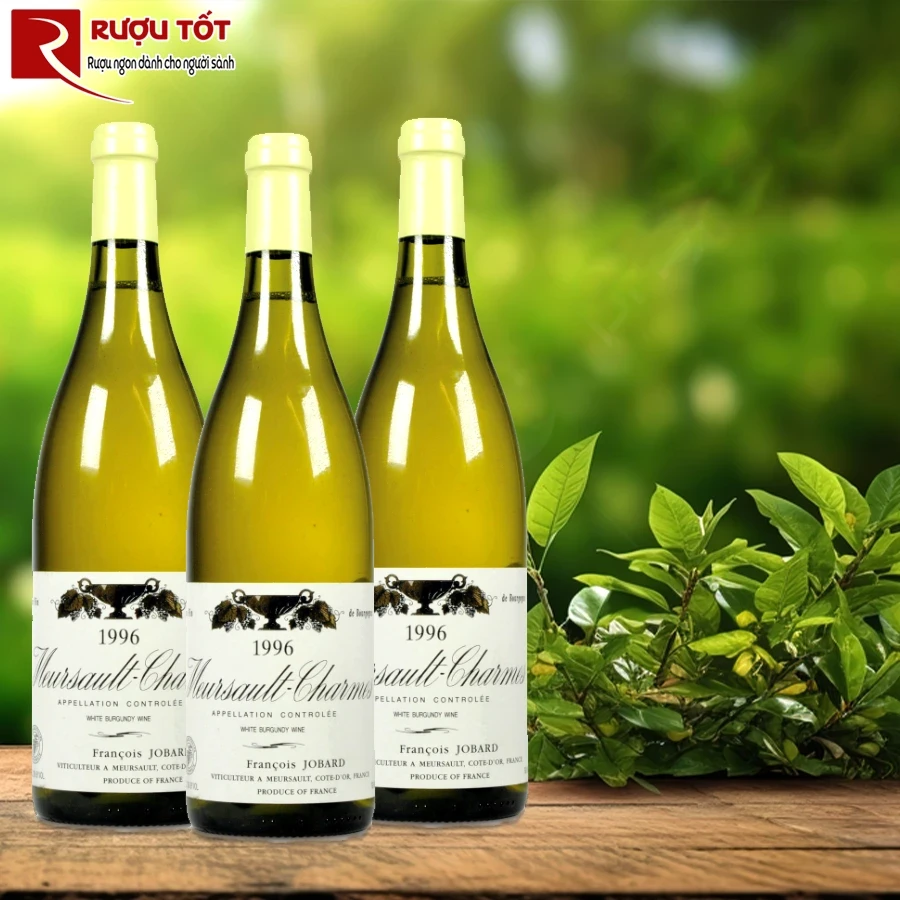 Rượu Pháp Francois Jobard Meursault 1er Cru Charmes