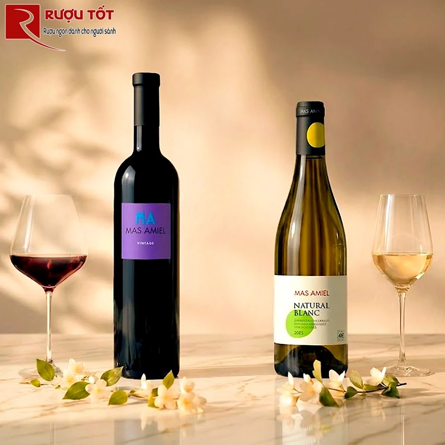 Rượu Pháp Mas Amiel red MA Vintage Maury