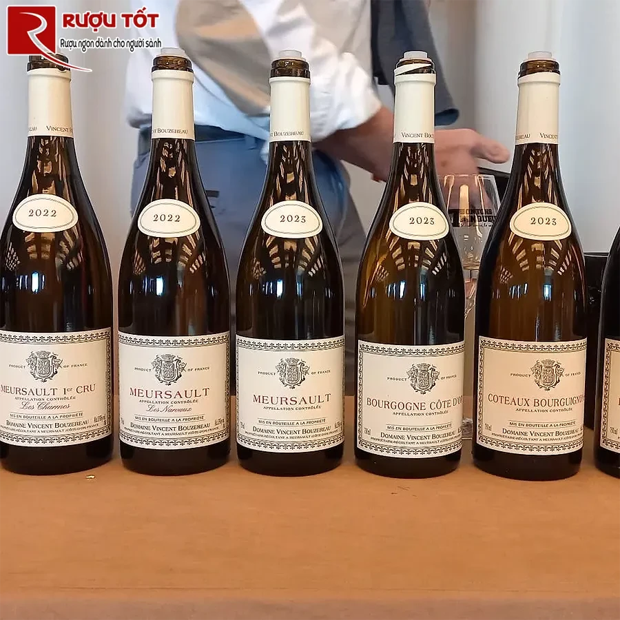 Rượu Pháp Vincent Bouzereau Mersault