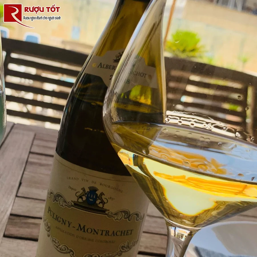 ruou puligny montrachet albert bichot