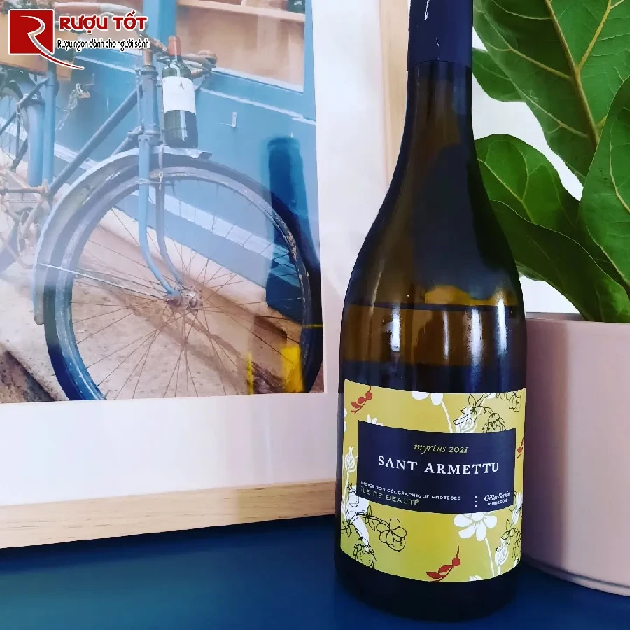 ruou sant armettu pivarella blanc