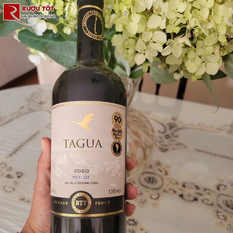 ruou tagua tagua merlot central valley