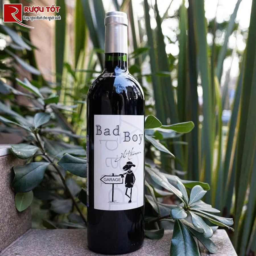 ruou thunevin bad boy bordeaux 13,5% 750ml cao cap