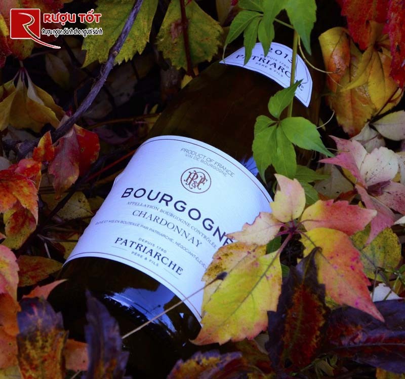Rượu vang Bourgogne Chardonnay