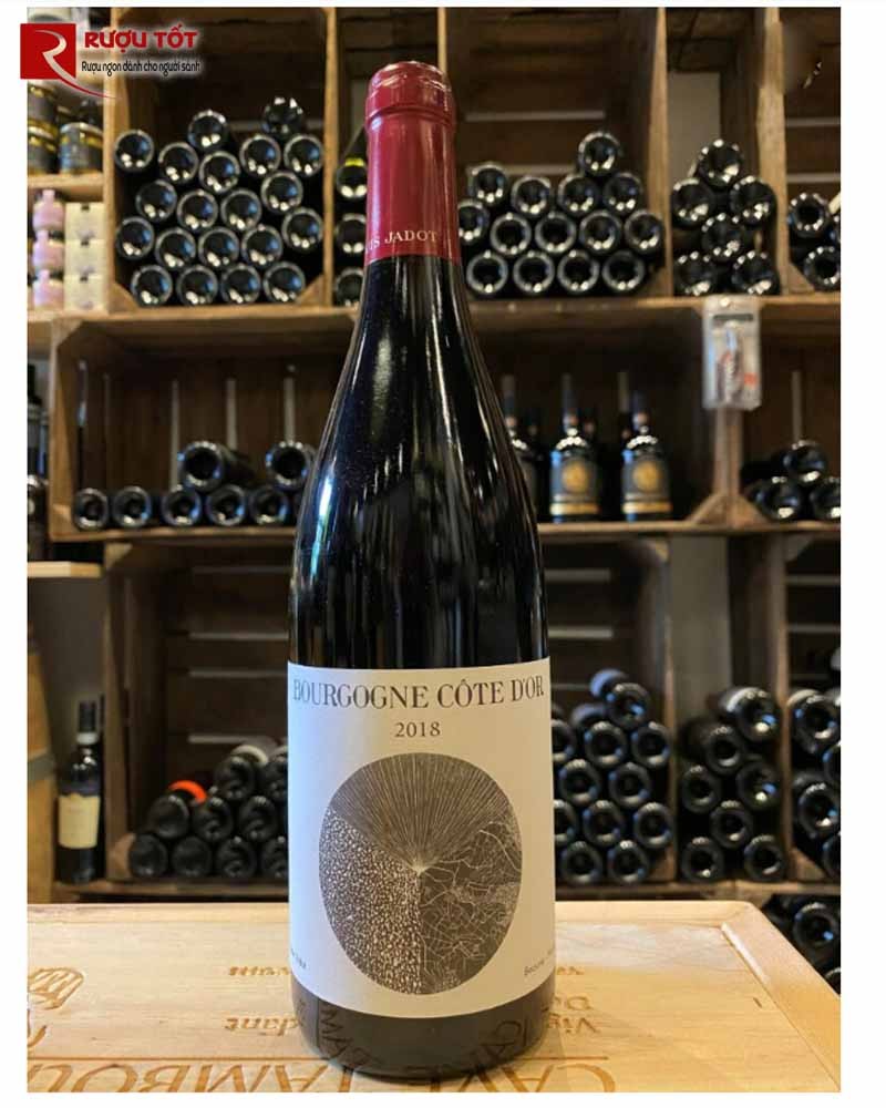 Ruou vang Bourgogne Cote d'Or Louis Jadot