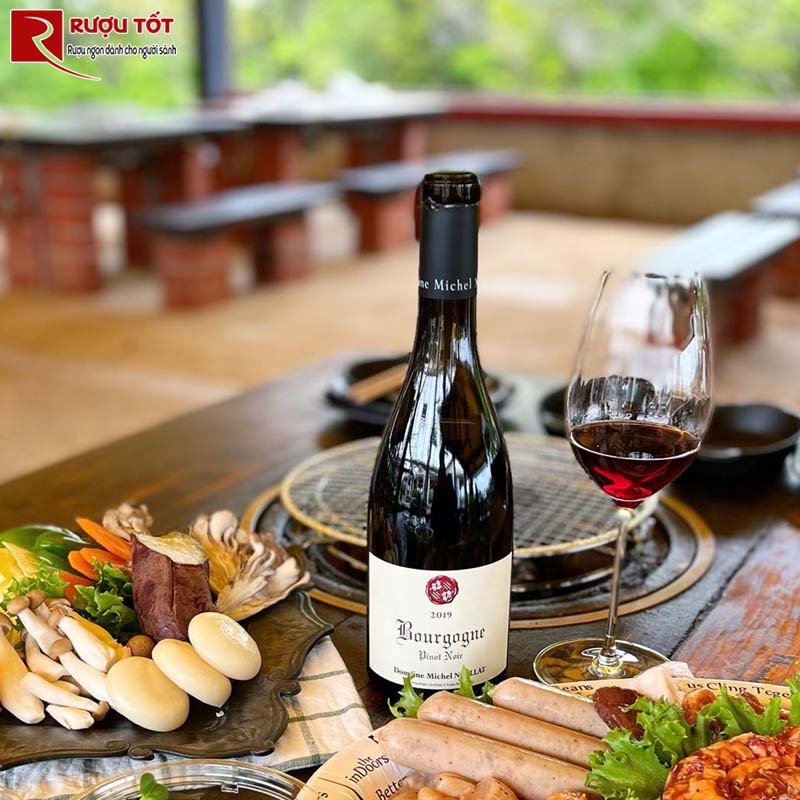 Rượu Vang Bourgogne Pinot Noir Domaine Michel Noellat