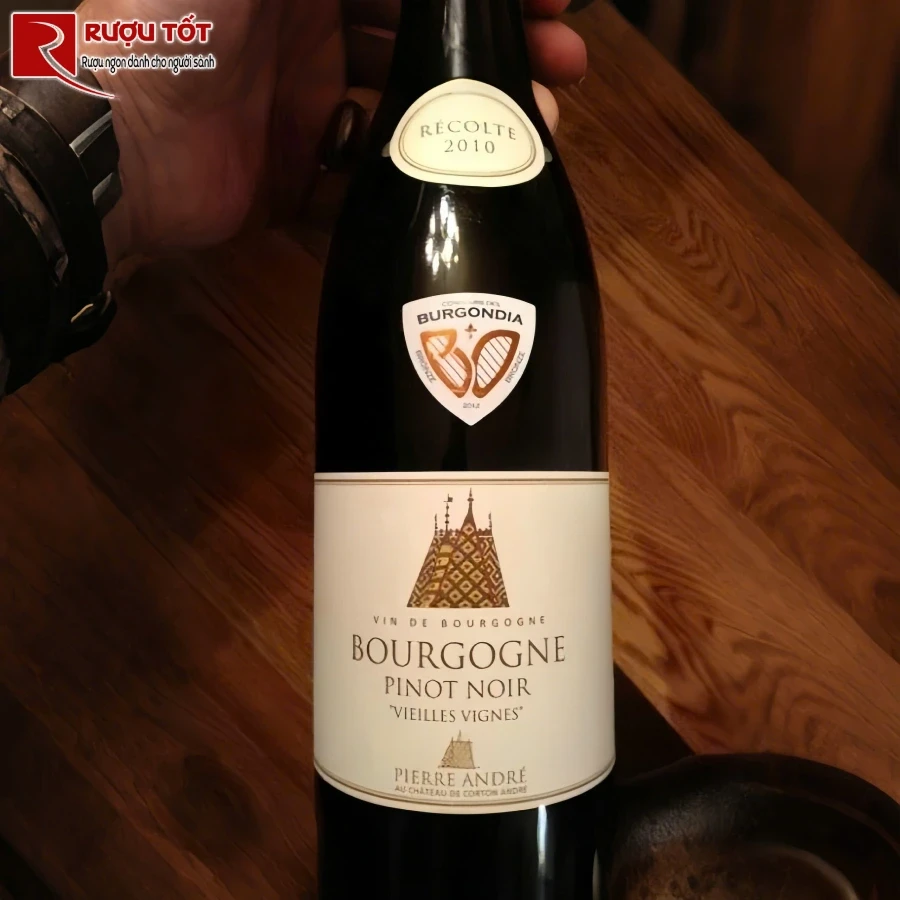 ruou vang bourgogne pinot noir pierre andre uy tin