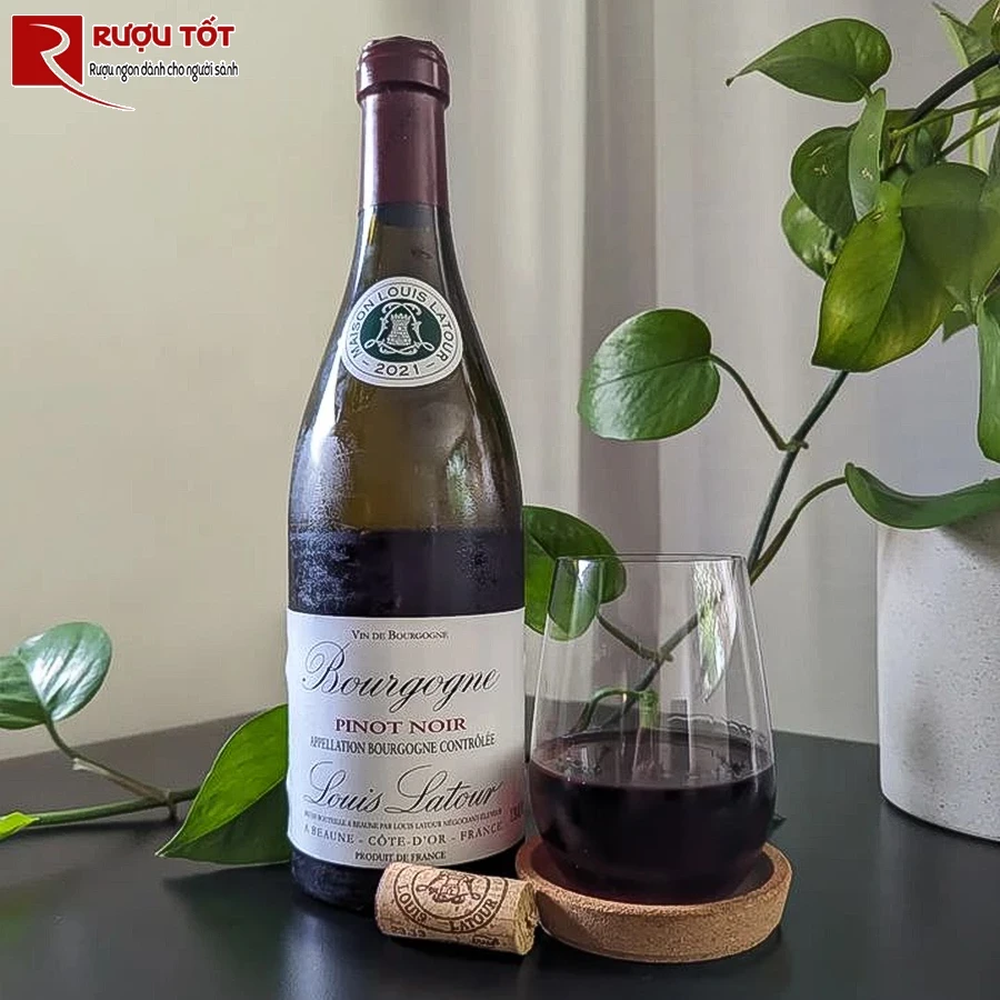 Bourgogne Pinot Noir Louis Latour