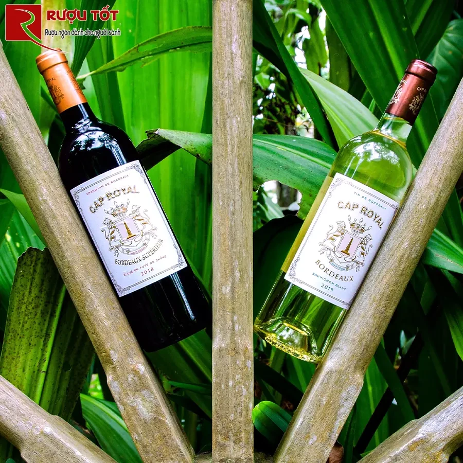 Rượu vang Cap Royal Bordeaux Superieur