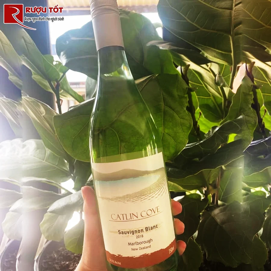 ruou vang catlin cove sauvignon blanc gia tot