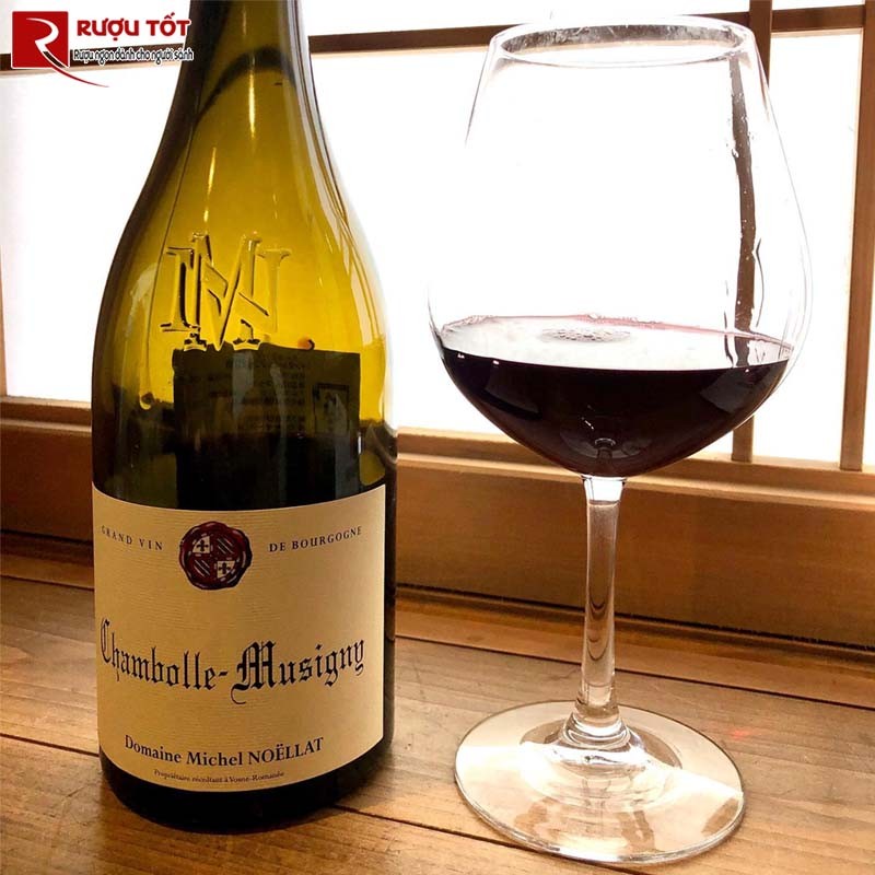Chambolle Musigny Domaine Michel Noellat