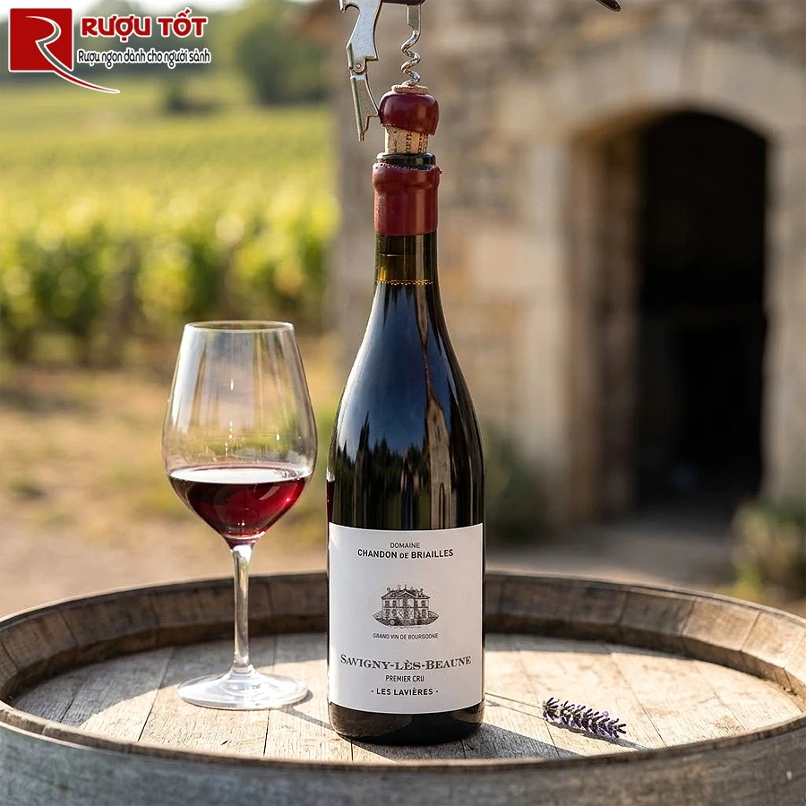 Rượu vang Chandon de Briailles Savigny les Beaune
