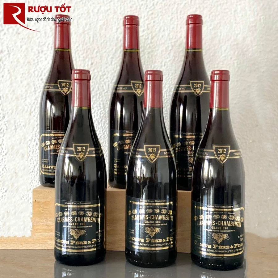 Rượu vang Charmes Chambertin Grand Cru Domaine Camus Pere et Fils