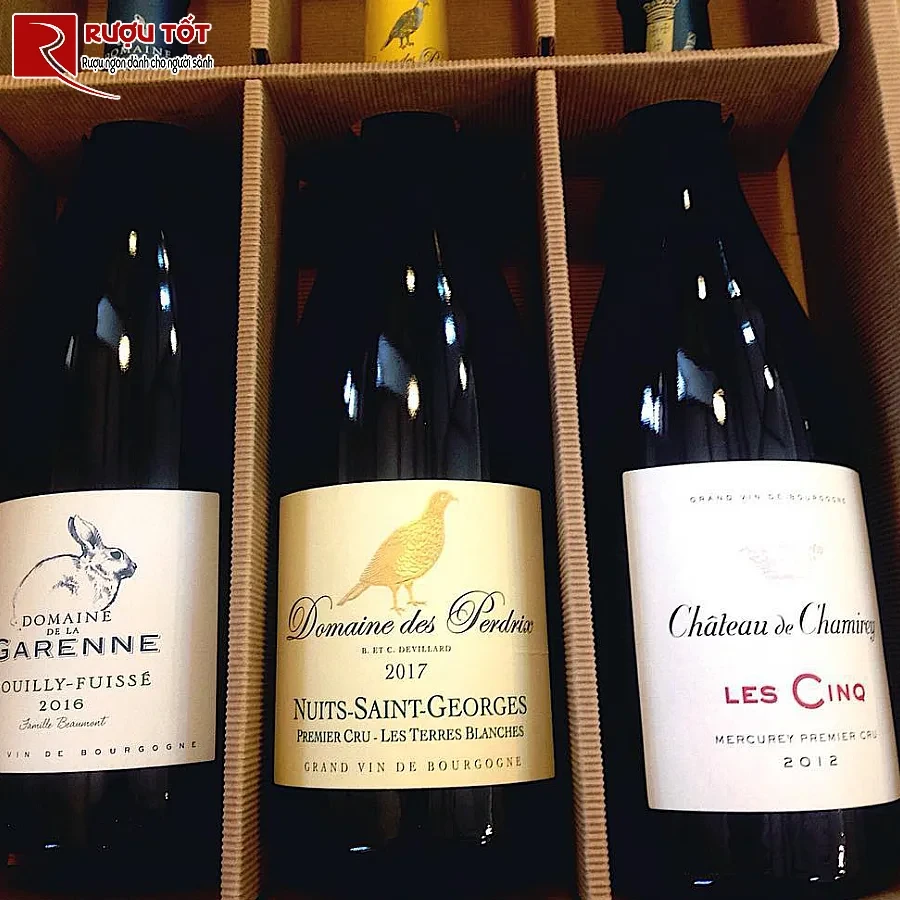 ruou vang chateau de chamirey les cinq