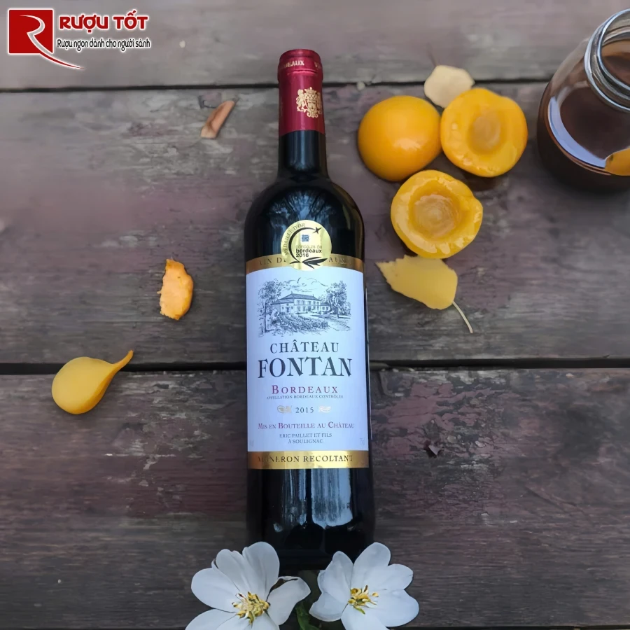 ruou vang chateau fontan bordeaux gia tot