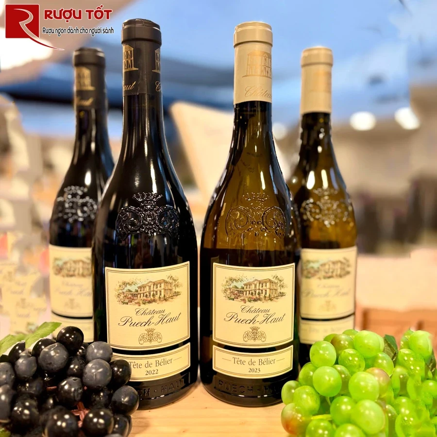 Rượu vang Chateau Puech Haut Tete de Belier Languedoc