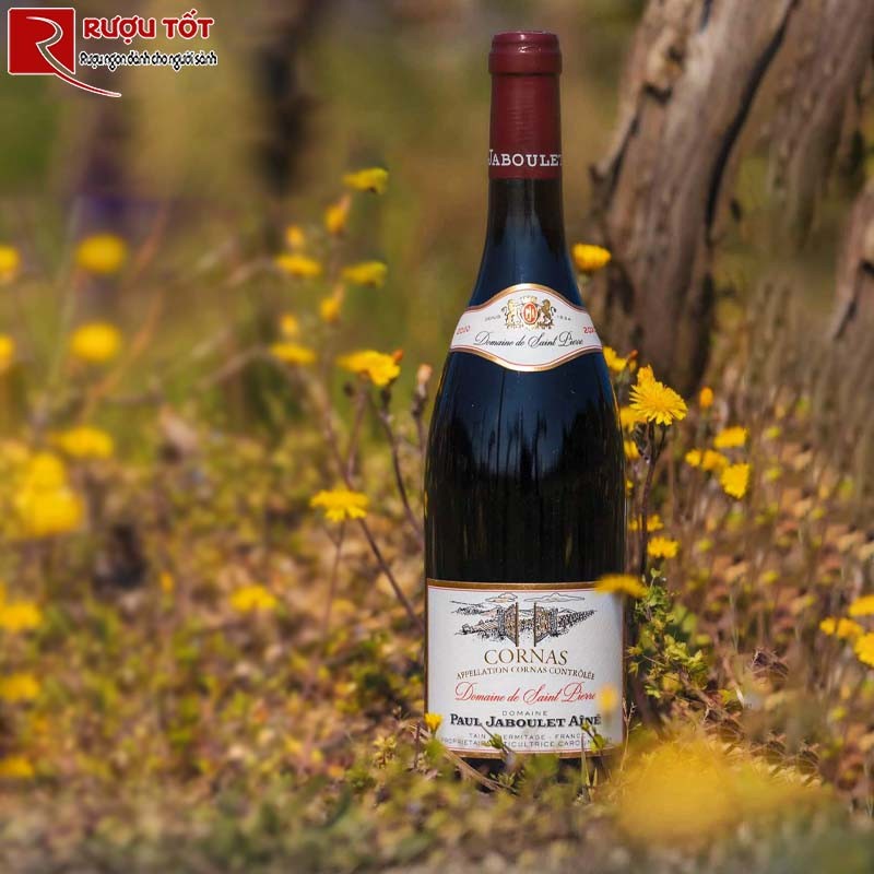 Rượu vang Cornas