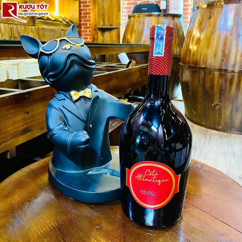 Rượu vang Cote Atlantique