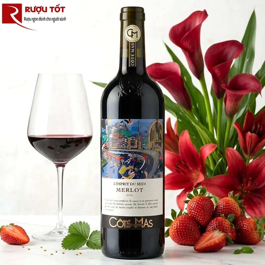 Rượu vang Cote Mas Art Series L'esprit Du Midi Merlot