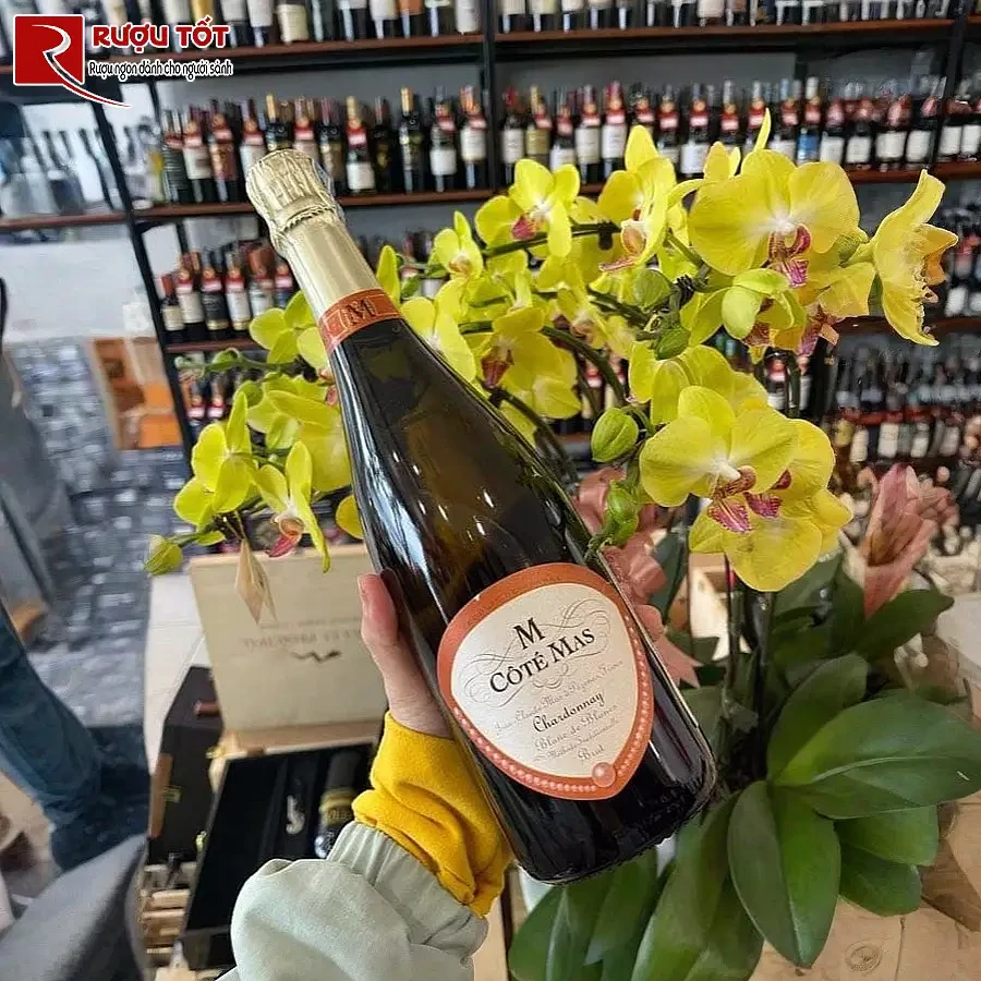 ruou vang cote mas chardonnay blanc de blanc